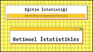 betimsel istatistikler