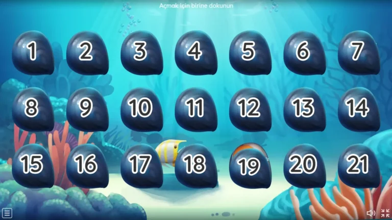 21 Soru Taşı - Allah İnancı