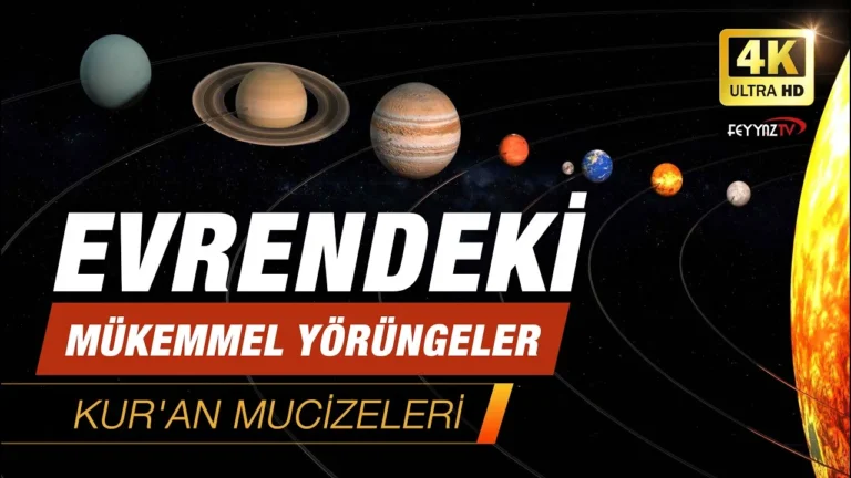 Evrendeki Kusursuz Yörüngeler ve Güneş'in Hareketi