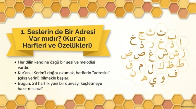 KUR050102SUN – Kur’an Harfleri ve Özellikleri ✨
