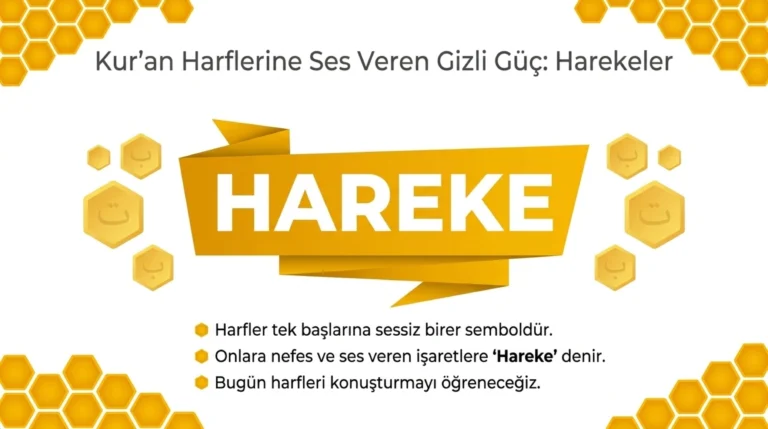KUR050103SUN – Kur’an Harekeleri ve Özellikleri ✨